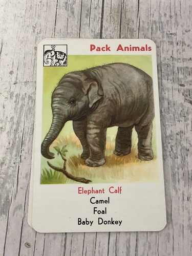 Kinderzimmer Zoo Happy Families Karten Vintage Benno - österreichisch Nr. 280 - Bild 11 von 11