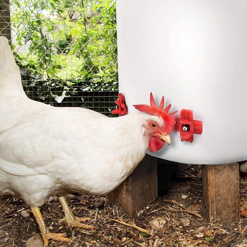 Chicken Nipples Waterer Automatic Poultry Drinkers Hen Bird Pigeon Quail Waterer - Picture 8 of 14