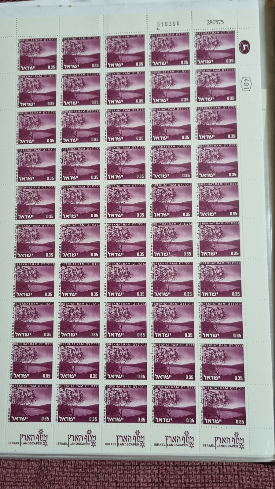 Picture 1 of 1
