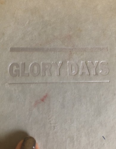 Libro Glory Days de Dave Marsh tapa dura 1987 Bruce Springsteen en la década de 1980 - Imagen 2 de 9