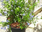 Bild 6 von 8