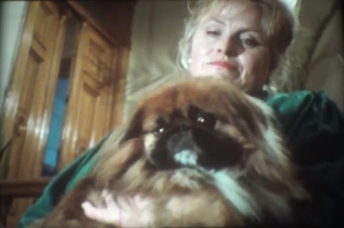 16mm Film - Nachbarschaft - Sabine Eckhard - Frank Strecker - BRD 1989 - Farbe - Bild 3 von 15