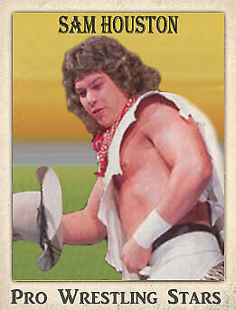 2021 LJACards "Pro Wrestling Stars" History of Wrestling Trading Cards ACEO - Picture 20 of 25