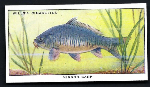 WILLS - POND & AQUARIUM, 1ST - PICK THE CARDS YOU NEED - Picture 24 of 51