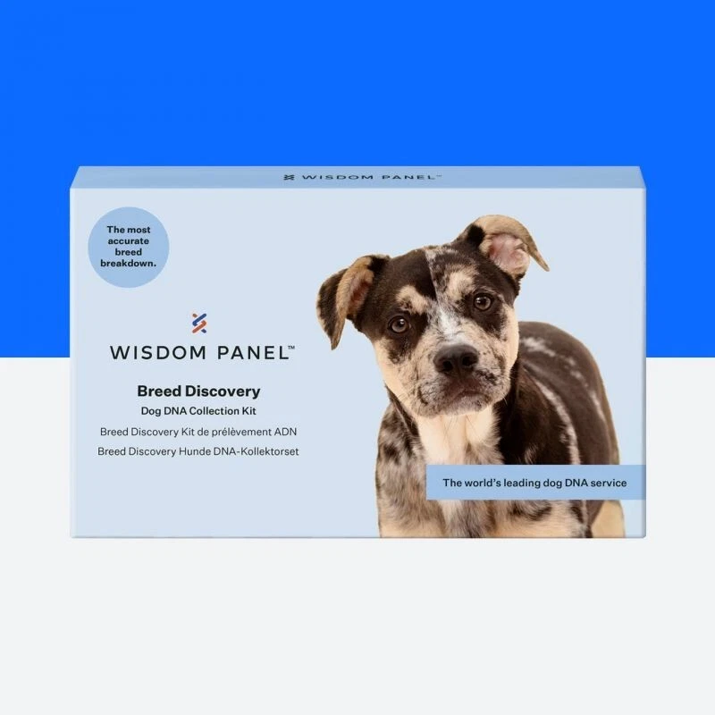 Dog DNA Test Breed Discovery Most Accurate Dog Breed DNA Test