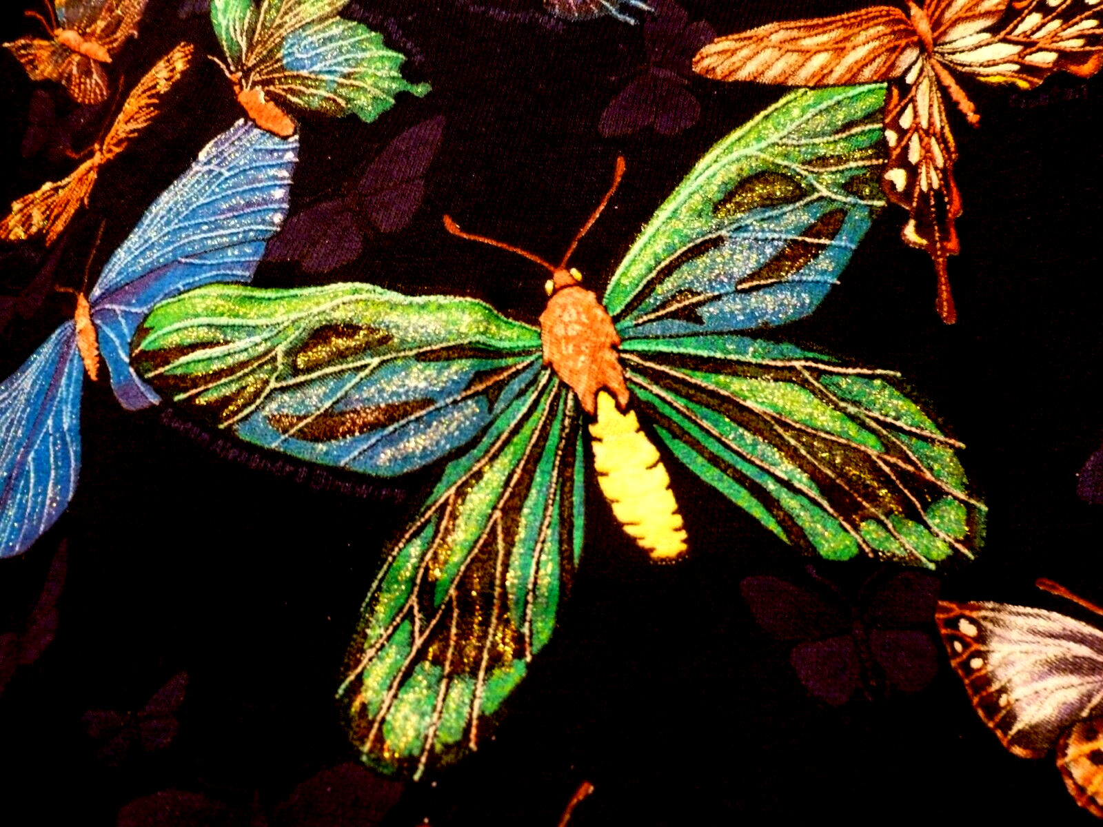 Picture 1 of 4