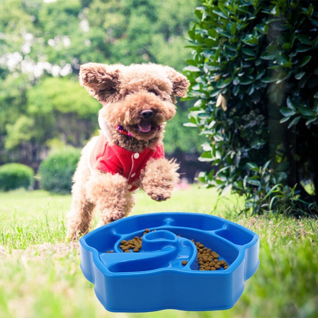 puppy choking on food