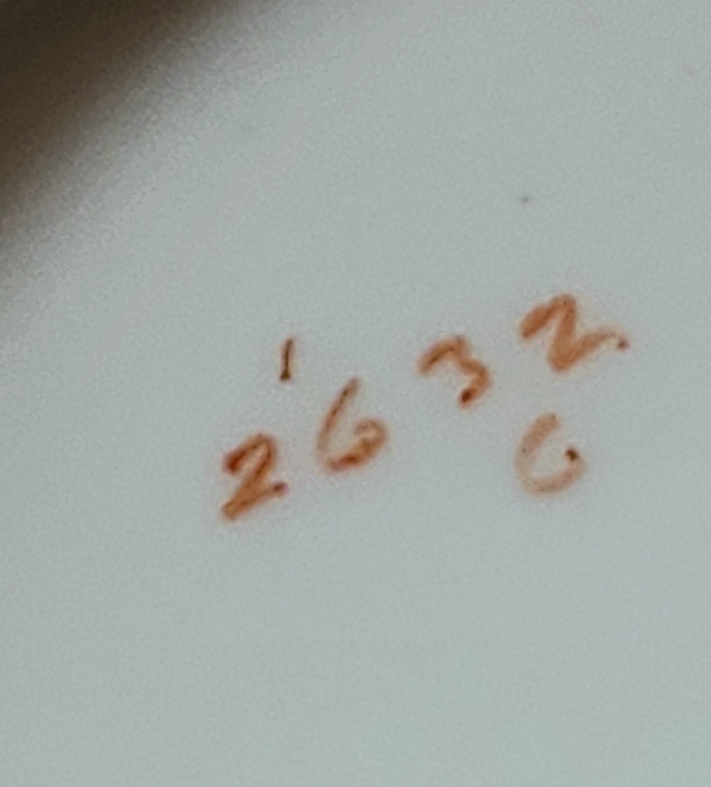 Picture 12 of 13