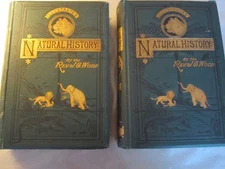 Two Natural History books by Rev. J. G. Wood Mammalia and Reptiles 1863
