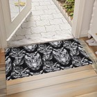 Owl Front Door Mat Outside Entrance, Indoor Door Mat, 17x29.5 in,Non-Woven Fa...