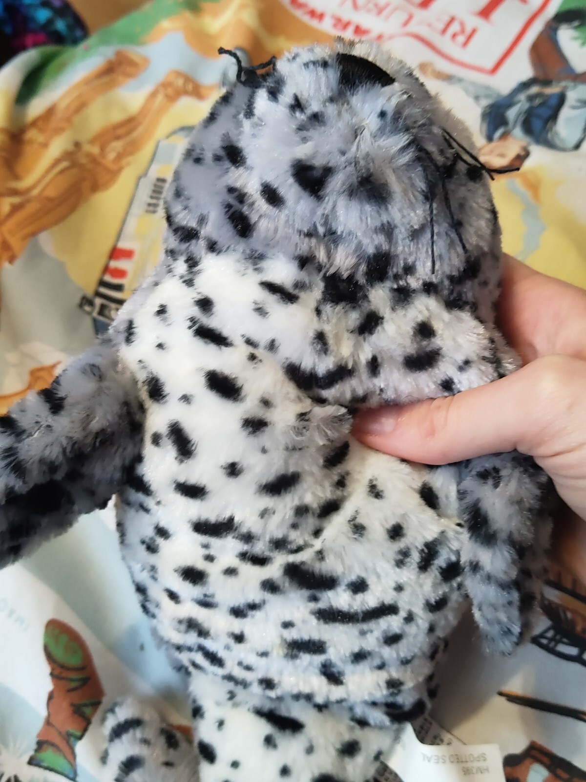 Bild 4 von 6