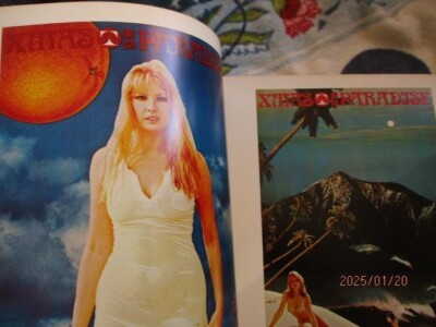 Tadanori Yokoo Overseas Poster Collection 