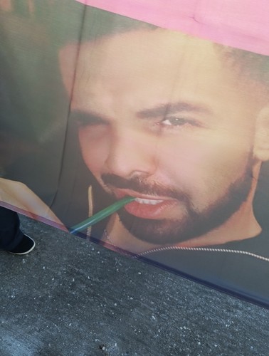 Drake Wall Poster Photo Backdrop 5 X 3 - Picture 6 of 9