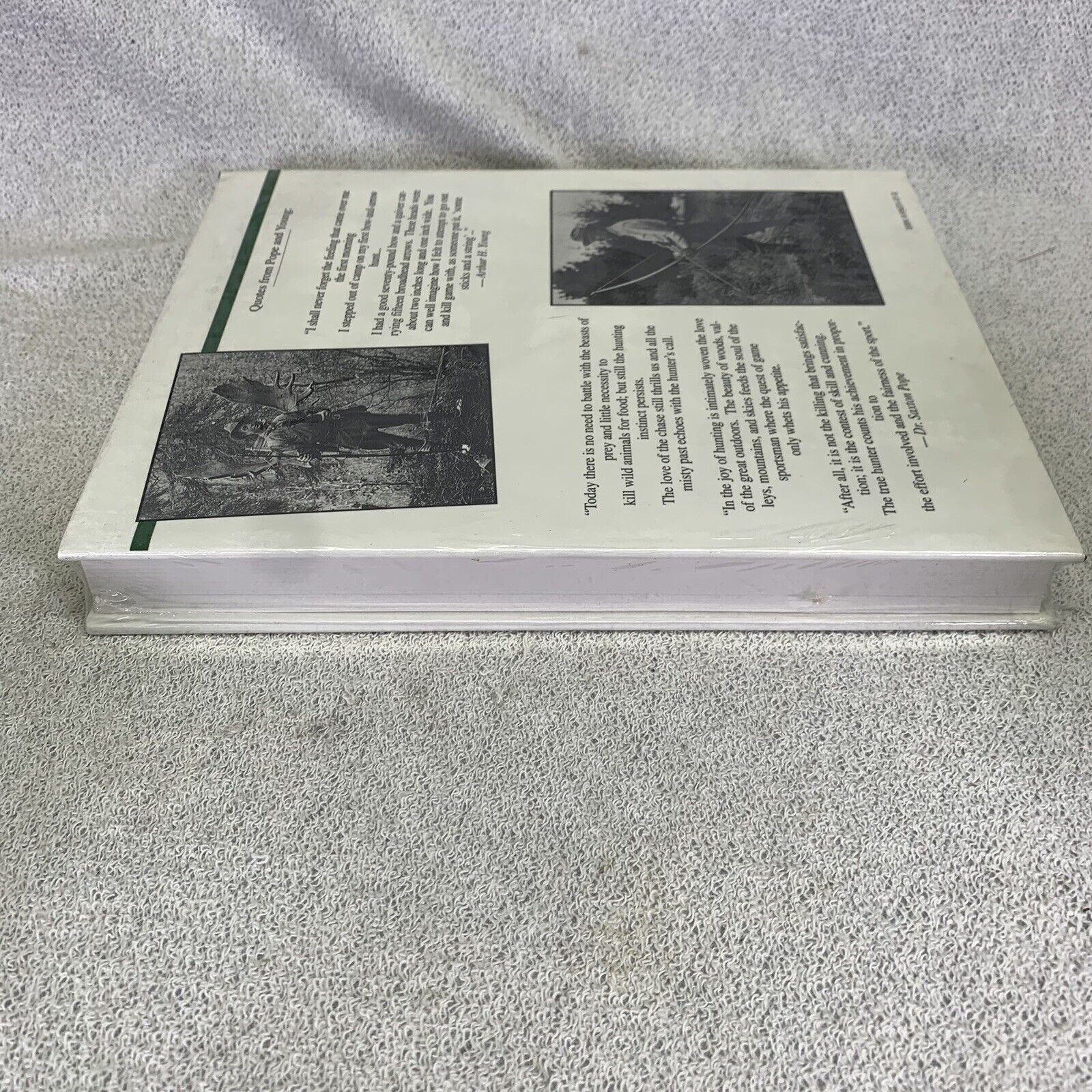 Foto 5 di 6