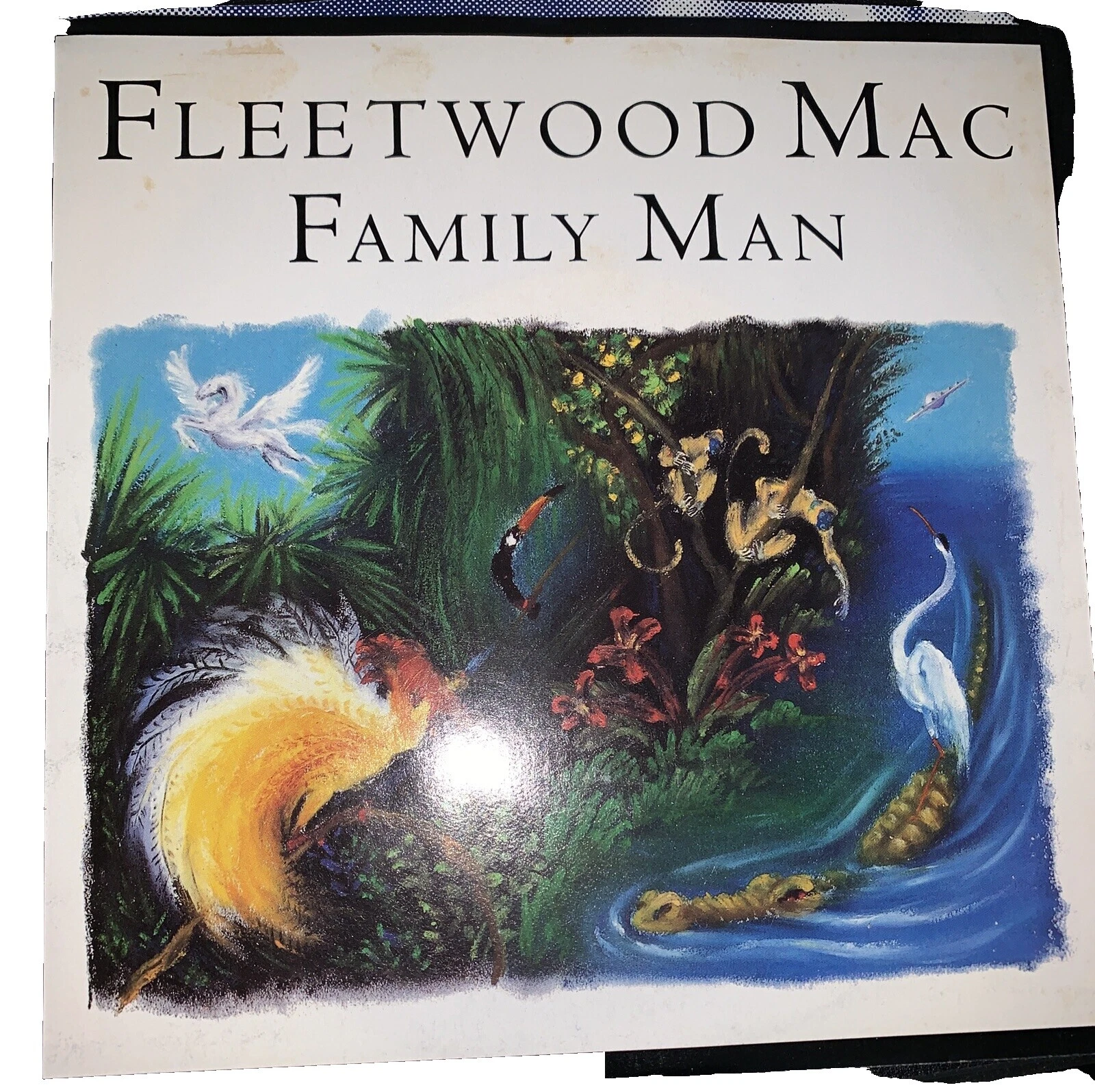 Fleetwood Mac Single Vinyl Records
