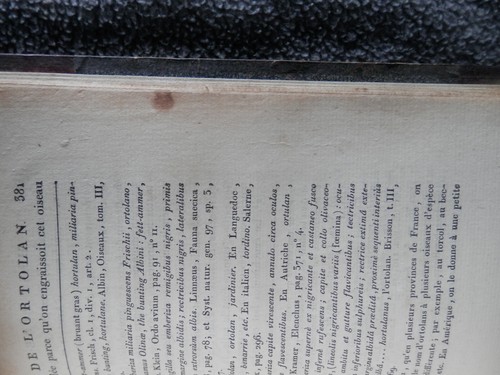 1780 HISTOIRE NATURELLE DES OISEAUX, PAR LECLERC DE BUFFON, Vol. 12 HC GC - Imagen 16 de 21