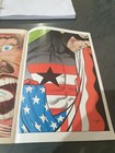 Picture 11 of 11