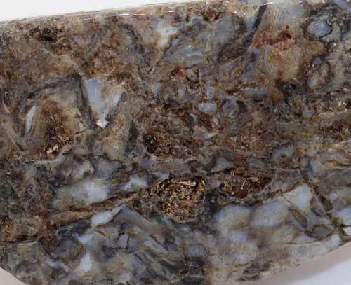 Hornstein, Rhynie Chert, Devon, Rhynie, Aberdeenshire, Schottland, UK -k657 - Picture 2 of 6