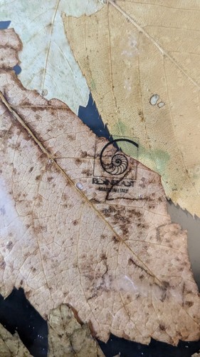 Vtg Resinplast Italian Made Autumn Leaves Bowl 11" - Picture 3 of 9