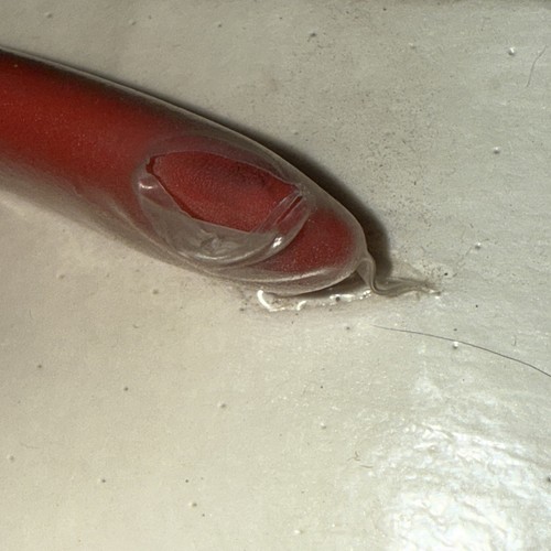 NOS NEW VINTAGE CRESCENT LONG NOSE PLIERS SIDE CUTTING 6” 654-6CV CUSHION USA - Picture 11 of 18
