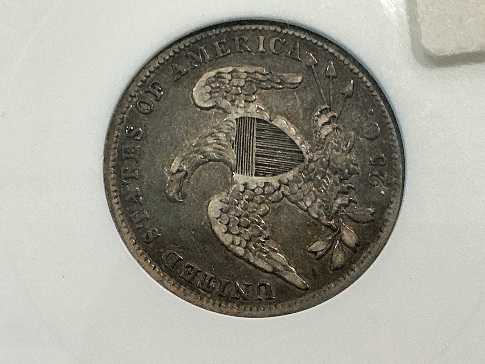 Picture 6 of 6