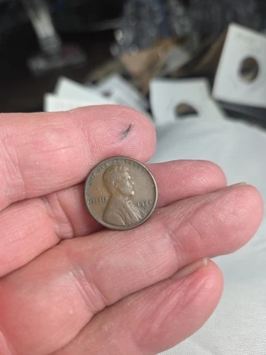 1924-S Lincoln Wheat Cent ~ FINE (F / FN) Condition 1-17