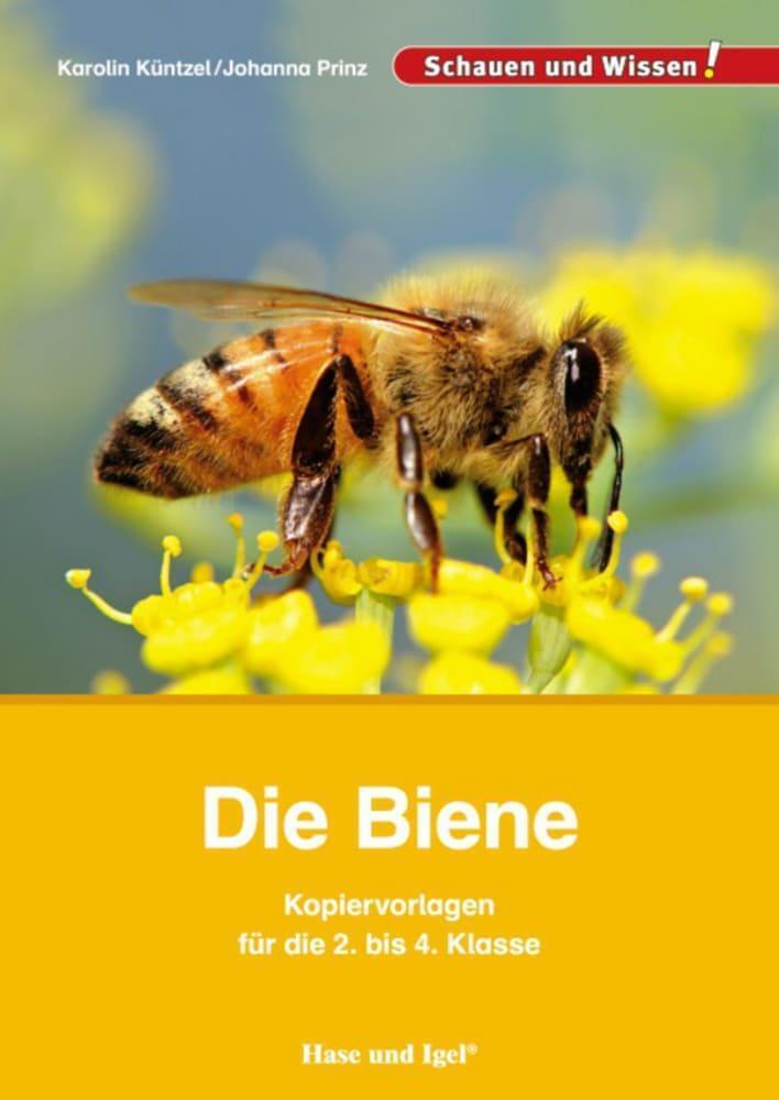 Thumbnail - Karolin Küntzel (u. A.) | Die Biene - Kopiervorlagen Für Die 2. Bis 4.