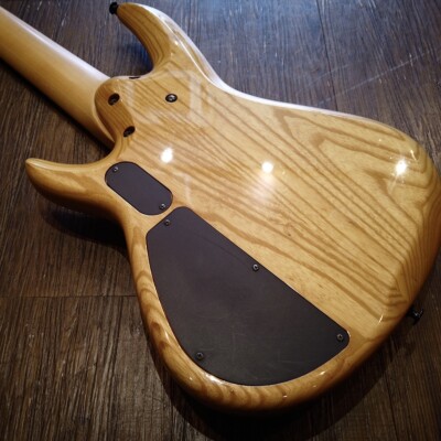 Aria Pro Ii Avante Series Avb85/5 Electric Bass - B624 | eBay