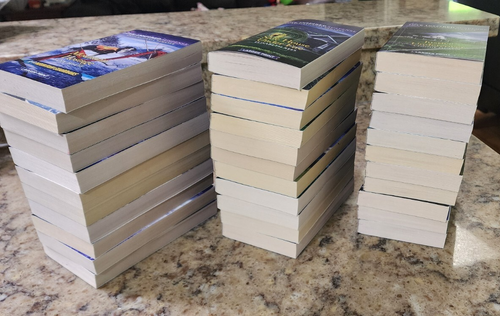 LOVE INSPIRED ROMANTIC SUSPENSE - LOT OF 33 LARGER PRINT PAPERBACK BOOKS - - Foto 5 di 6