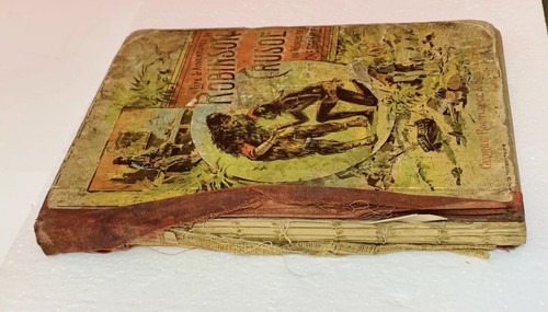 Life & Adventures of Robinson Crusoe in Words of One Syllable Godolphin 1894 - Picture 3 of 13