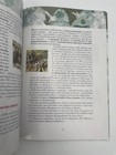 Foto 3 di 4