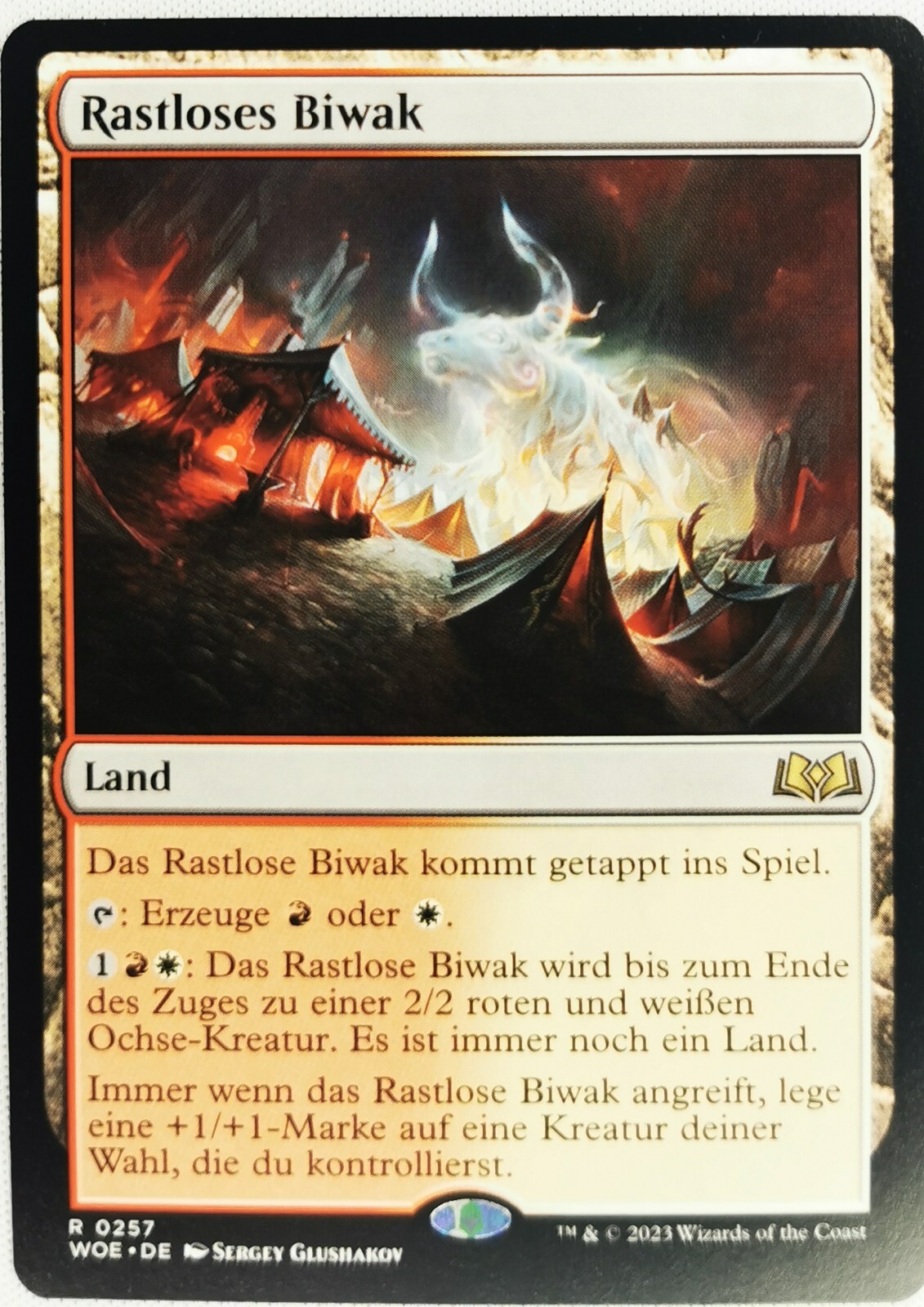 Bild 46 von 60