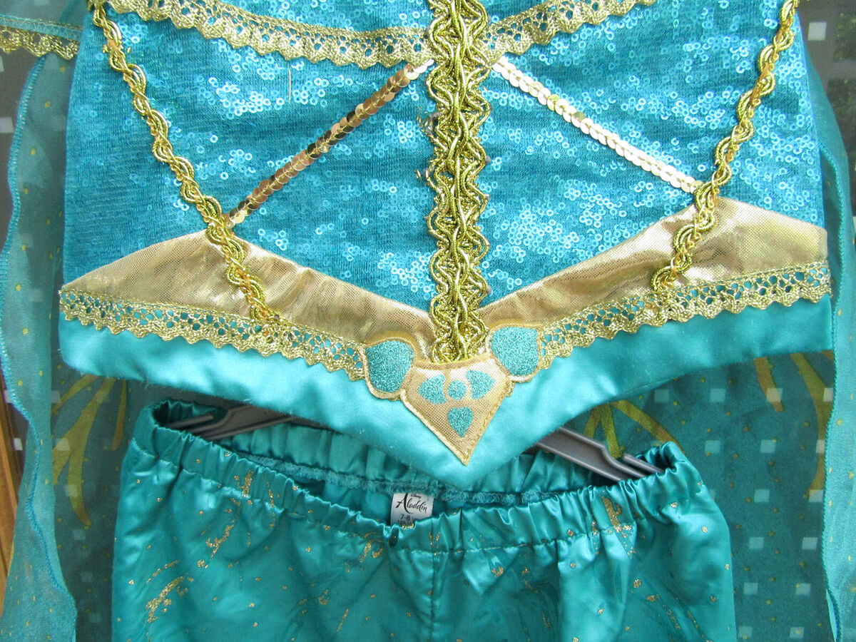 Tu 2024 jasmine costume