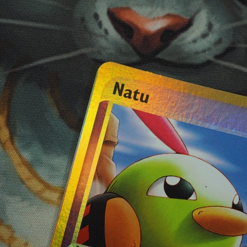 Tarjeta única jugada Natu Reverse Holo 69/100 Pokemon EX Sandstorm TCG - Imagen 6 de 11