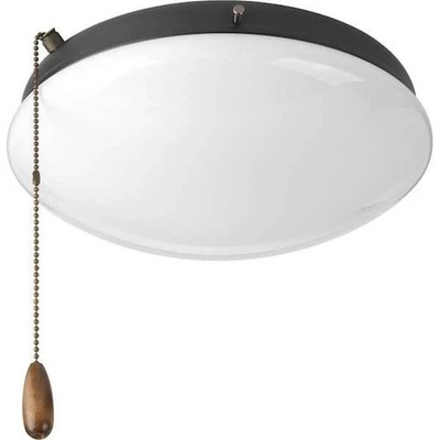 Progress LightingFan Light Kits Collection 2-Light Graphite Ceiling Fan Light 