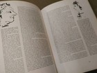 Foto 7 di 9