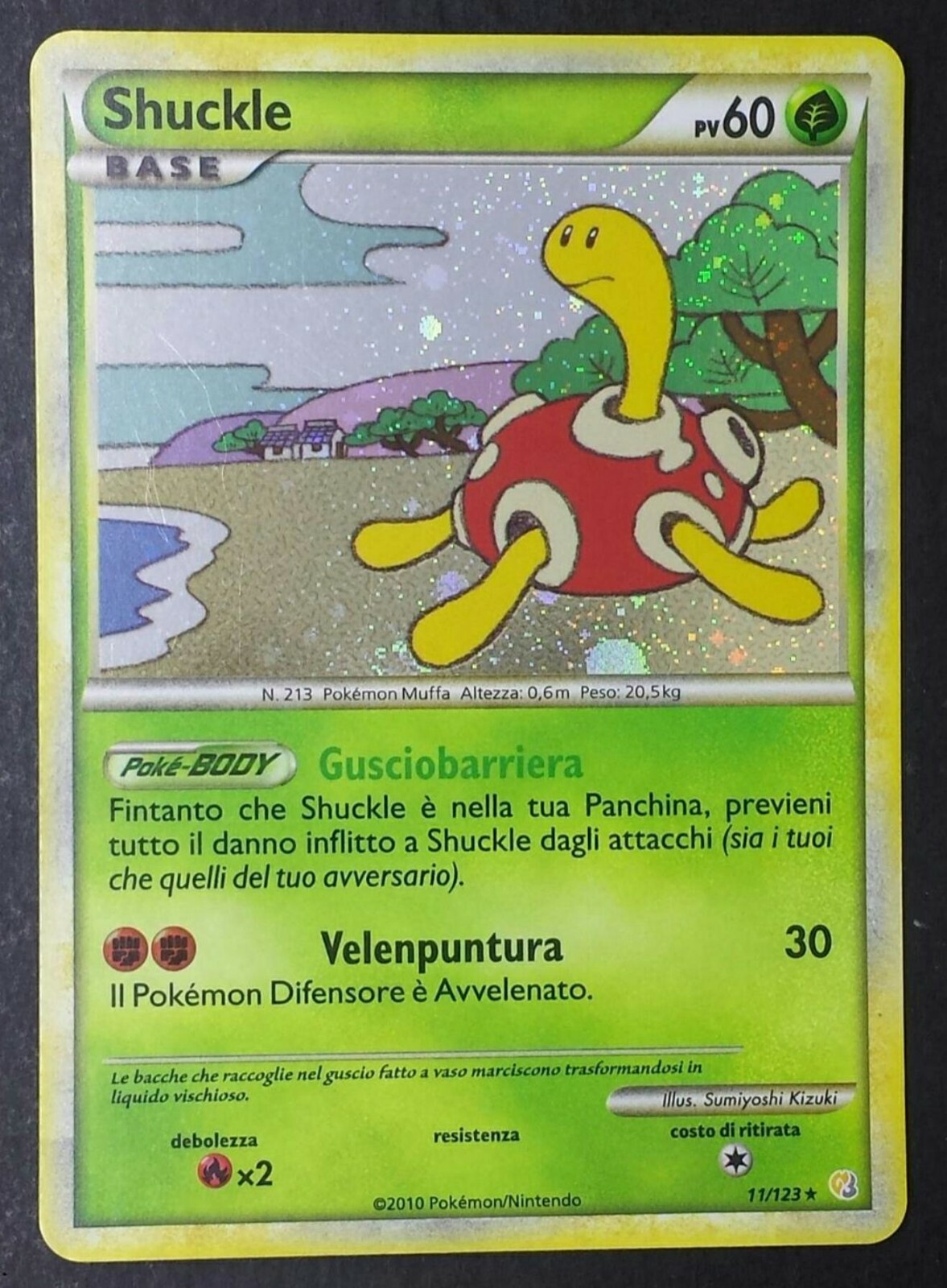 Foto 1 di 1