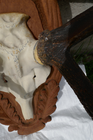 Bild 19 von 20