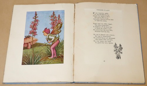A BUNCH OF WILD FLOWERS by IDA RENTOUL OUTHWAITE HARD COVER - Bild 5 von 8