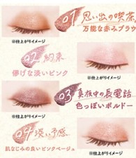 CANMAKE TOKYO eye color magician 3.6ml Japan