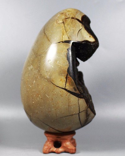 3.33 lb NATURAL Septarian Dragon Crystal Egg Sphere Gem geode Mineral Specimen - Picture 6 of 12