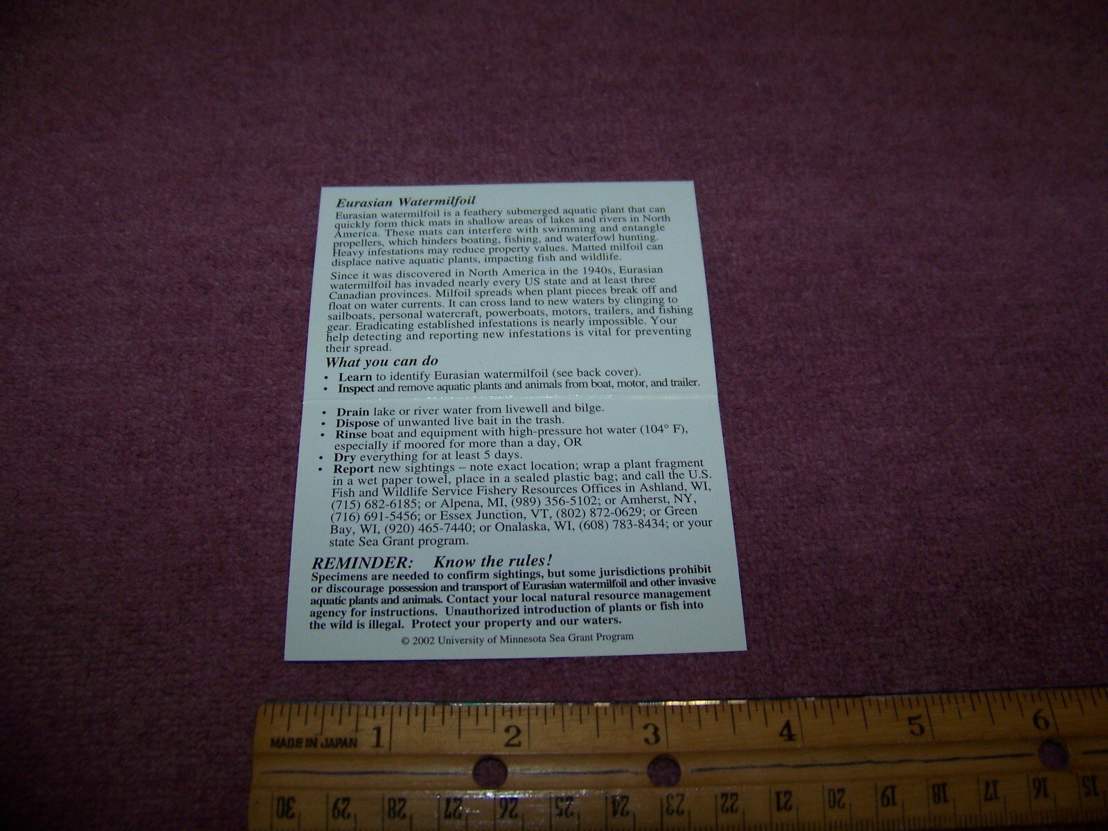 Picture 2 of 3