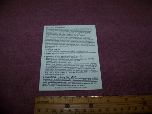 Environmental "Watch" Information Card Sea Grant Program Eurasian Watermilfoil - Picture 2 of 3