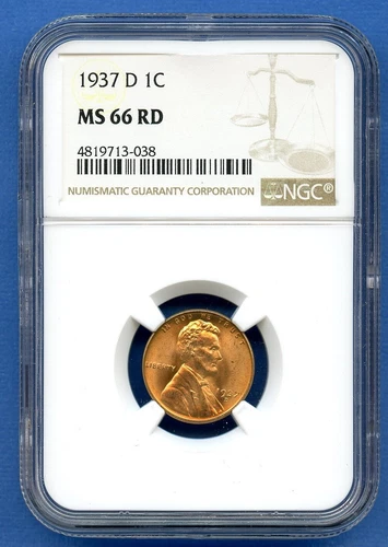 1937 D NGC MS66RD Lincoln Wheat Cent 1c Penny US Mint Coin 1937-D MS-66 RD