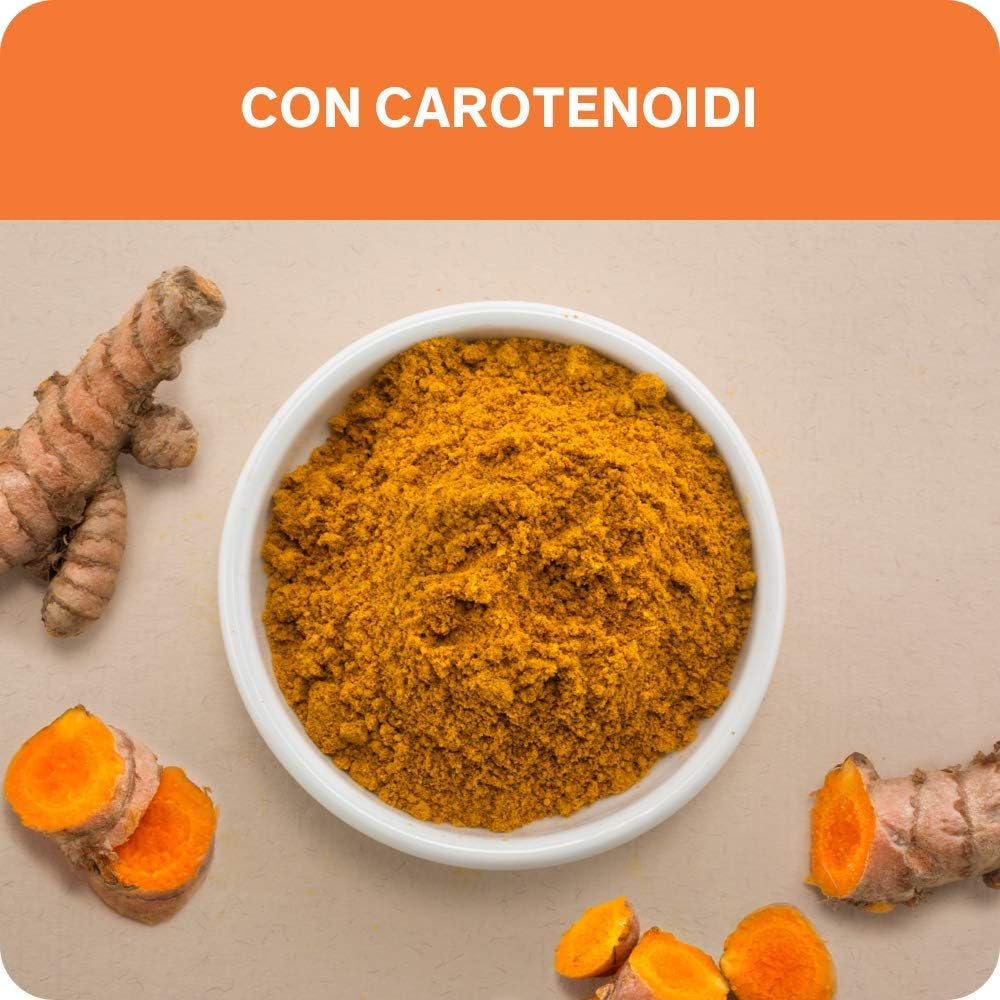 Foto 2 di 12