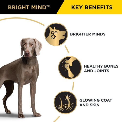 PRO PLAN Adult 7+ Bright Mind Chicken Dry Dog Food 12Kg - Picture 5 of 10