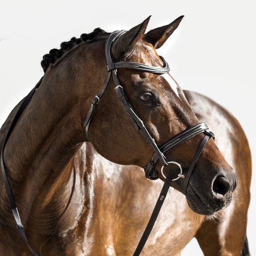'Milan' leather bridle (convertible) - Bild 1 von 24