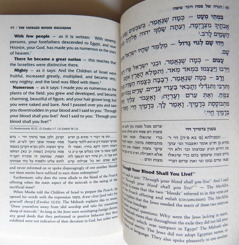 THE VAYAGED MOSHE HAGGADAH COMMENTS FROM THE WRITINGS Feinstein 1E Passover - Picture 6 of 6