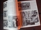 Foto 7 di 11