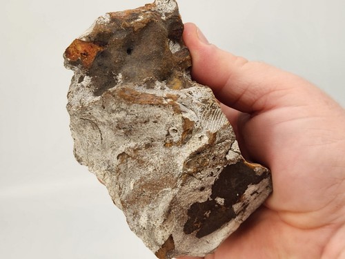 Minerale (agata? Jasper?) Lotto sfuso 5,3 libbre - Foto 8 di 20
